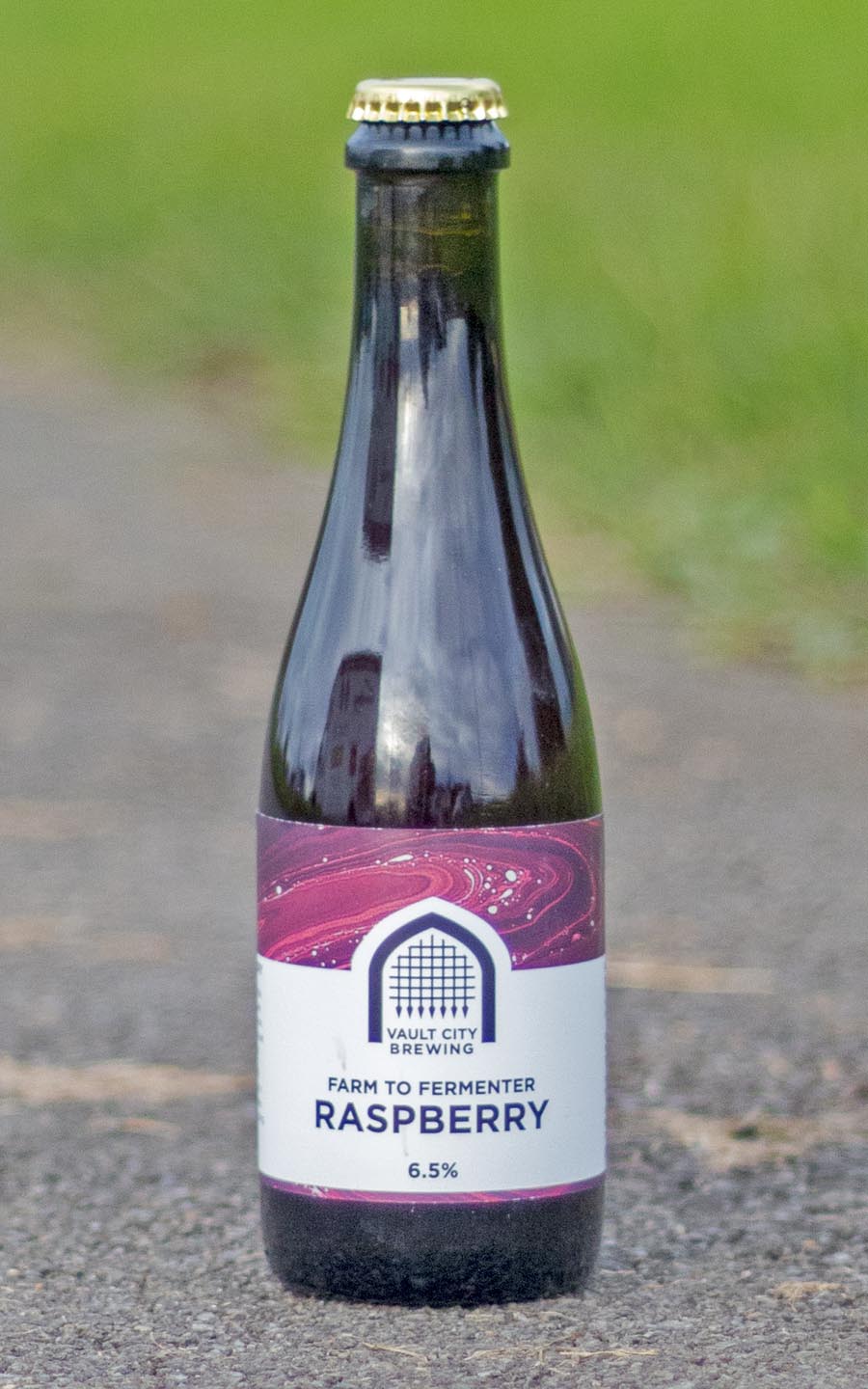 Vault City Farm To Fermenter Raspberry - Birradical